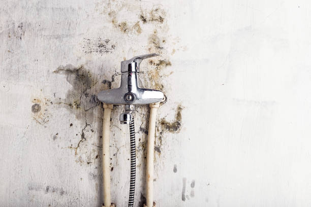 Best Localized Mold Remediation (e.g., coastal areas, humid climates) in Bermuda Dunes, CA