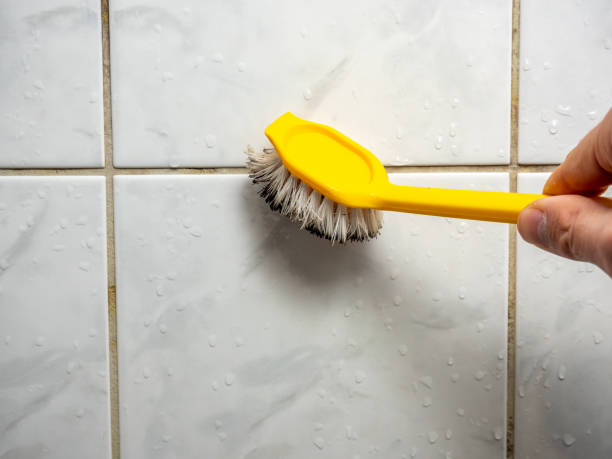 Best Kitchen Mold Remediation in Bermuda Dunes, CA