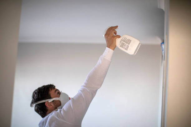 Best Residential Mold Remediation in Bermuda Dunes, CA