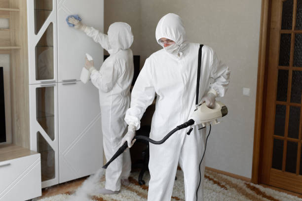 Best Health and Safety Mold Remediation in Bermuda Dunes, CA