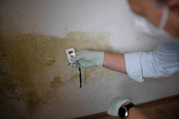 Best HVAC Mold Remediation in Bermuda Dunes, CA