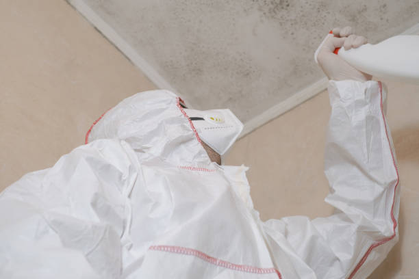 Bermuda Dunes, CA Mold Remediation Company